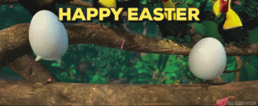 giphy.gif