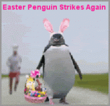 giphy.gif giphy.gif