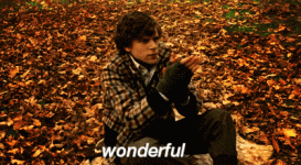 giphy.gif giphy.gif