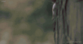 giphy.gif giphy.gif