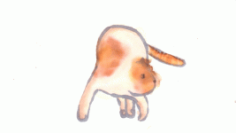 giphy.gif giphy.gif
