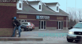 giphy.gif giphy.gif