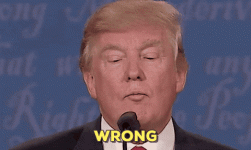 giphy.gif giphy.gif