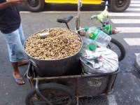 100_5572roamingvendor.webp