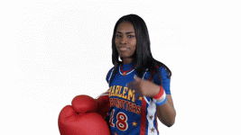 giphy.gif giphy.gif