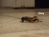 giphy.gif giphy.gif