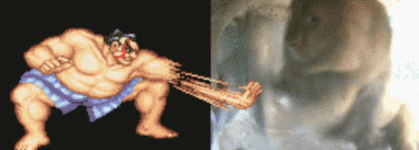 giphy.gif giphy.gif