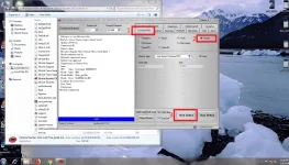cherry.webp