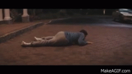 giphy.gif