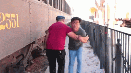 giphy.gif