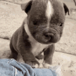 giphy.gif giphy.gif