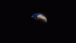 giphy.gif giphy.gif