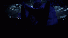 giphy.gif