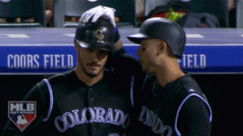 giphy.gif
