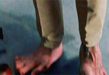 giphy.gif