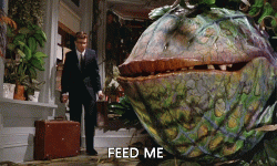 giphy.gif giphy.gif