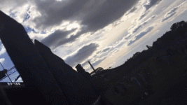 giphy.gif