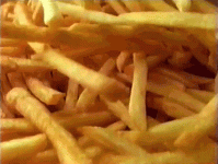 giphy.gif