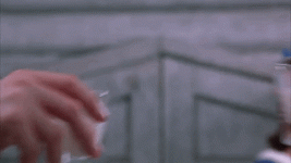 giphy.gif giphy.gif