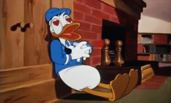 giphy.gif giphy.gif