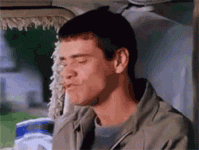 giphy.gif giphy.gif