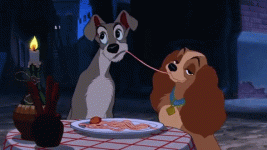 giphy.gif giphy.gif