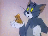 giphy.gif giphy.gif