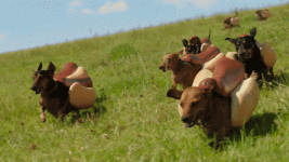 giphy.gif giphy.gif