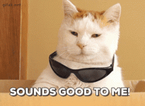 giphy.gif giphy.gif