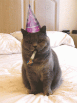 giphy.gif giphy.gif