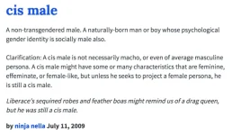 81b.webp