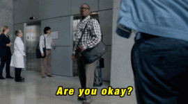 giphy.gif giphy.gif