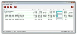 megadownloader-screenshot.webp