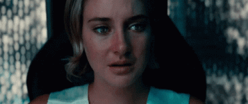 giphy.gif