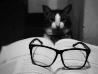 O1vzWvtl.webp