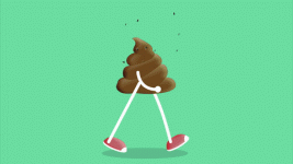giphy.gif