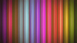 giphy.gif