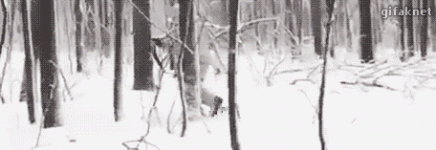 giphy.gif giphy.gif