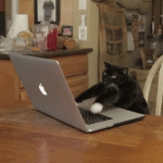 giphy.gif giphy.gif