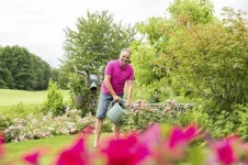 173745724-stock-photo-man-watering-roses-in-garden.webp 173745724-stock-photo-man-watering-roses-in-garden.webp