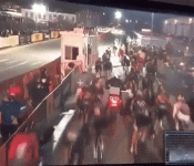 giphy.gif