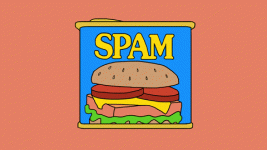 giphy.gif