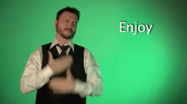 giphy.gif