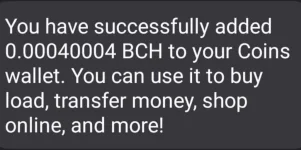 143484805_1556024791453157_6717805084489119402_o.webp