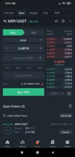 Screenshot_2021-01-31-00-31-36-508_com.binance.dev.webp
