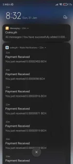 Screenshot_2021-01-31-20-32-54-448_com.android.chrome.webp