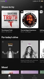 Screenshot_2021-01-31-21-16-54-901_com.spotify.music.webp