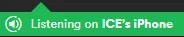 ICE's.webp