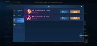 Screenshot_20210202-172750_Mobile Legends Bang Bang.webp