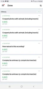 Screenshot_20210202-233605_YandexToloka.webp
